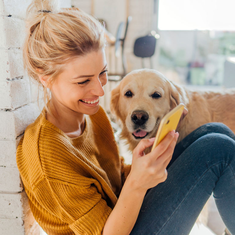 Viaja con tu mascota LaRegional