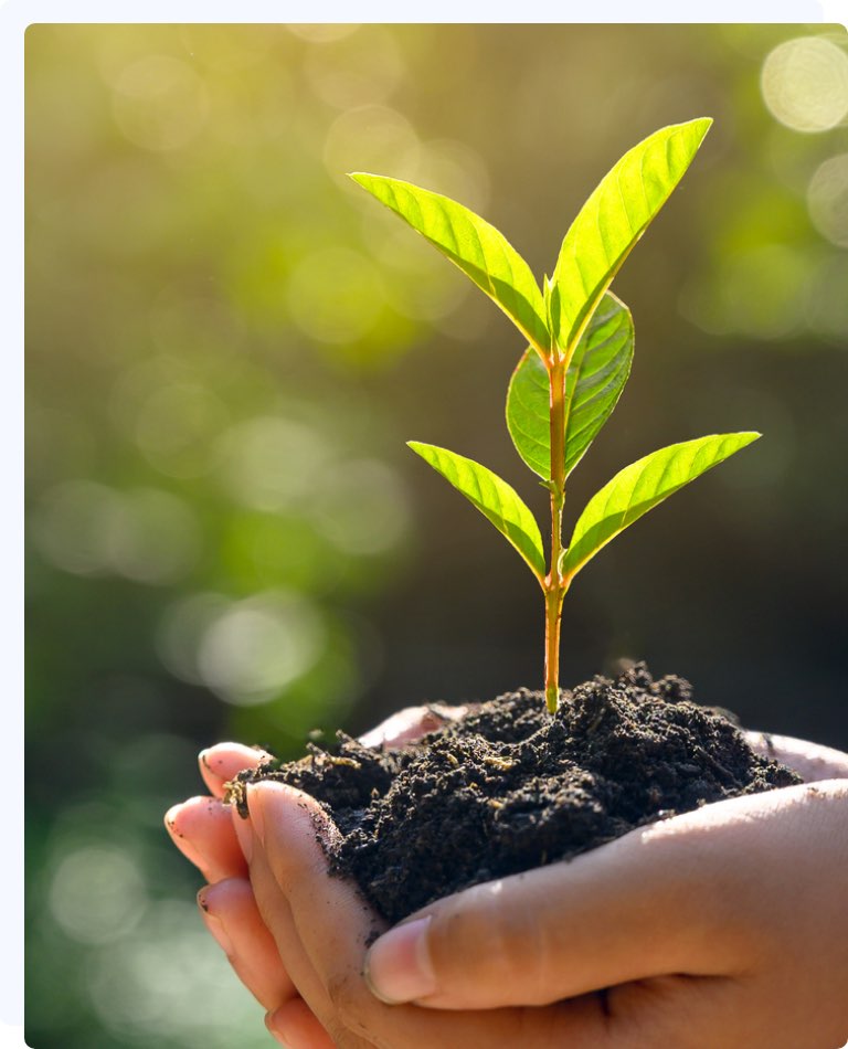 Sostenibilidad y medio ambiente LaRegional