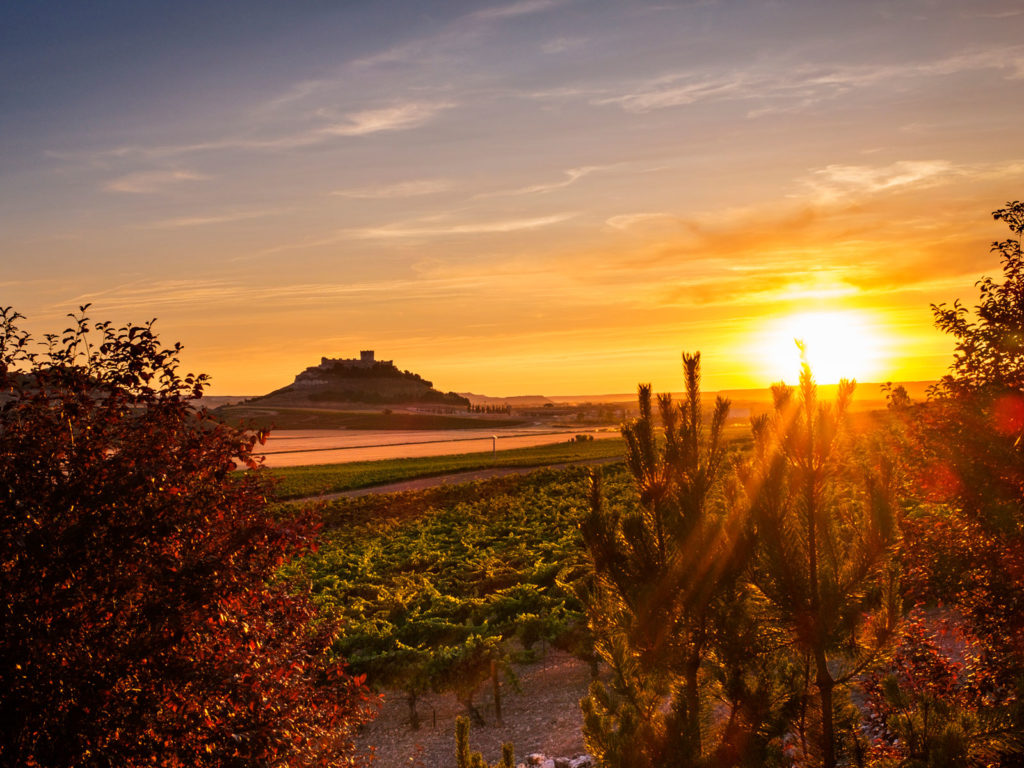 Ruta Ribera del Duero