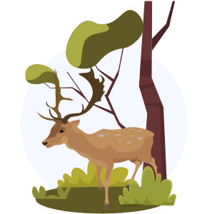 Destinos - Viajes LaRegional